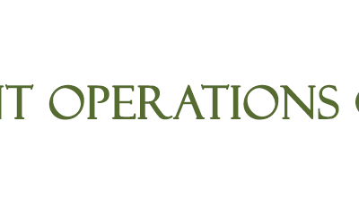 Case Study: Lessons a Merchant Could Learn from the Perspective of an Issuer